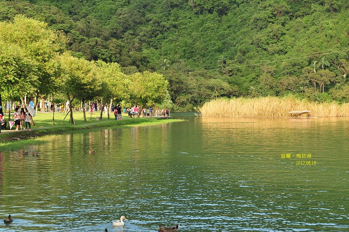 DSC_1009 DSC_1009