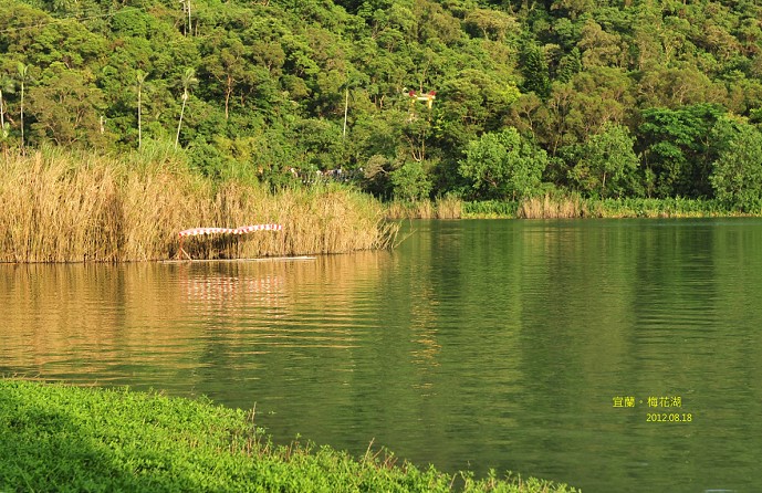 DSC_1020 DSC_1020