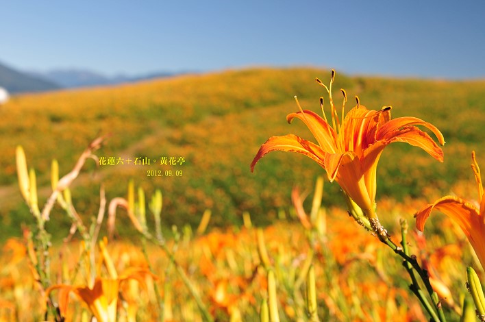DSC_1577 DSC_1577