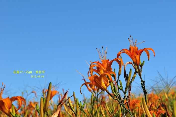 DSC_1624 DSC_1624