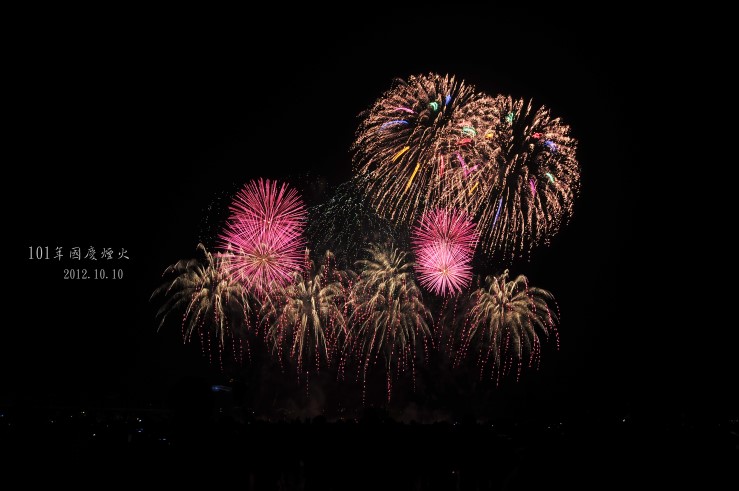 DSC_2231 DSC_2231