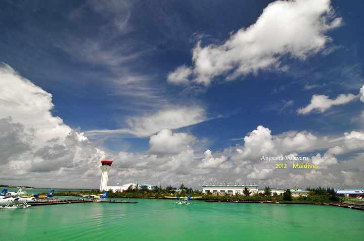 DSC_2584 DSC_2584