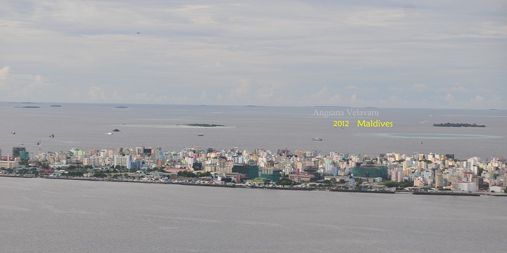 DSC_3927 DSC_3927