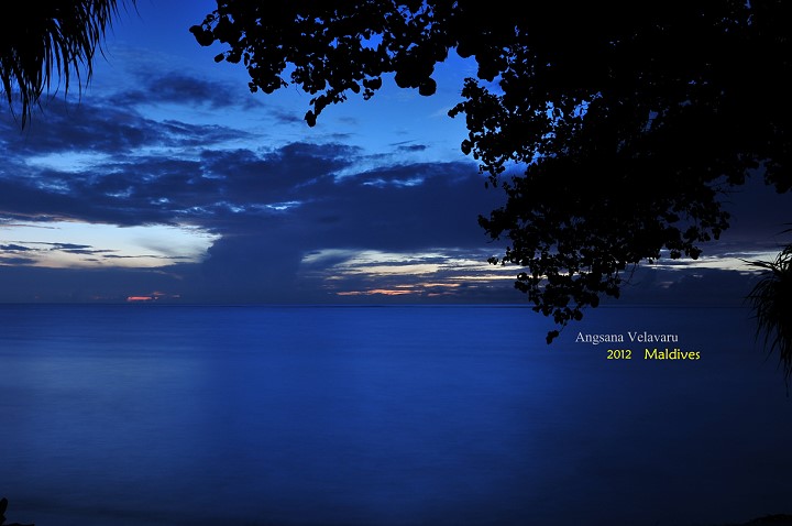 DSC_2765 DSC_2765