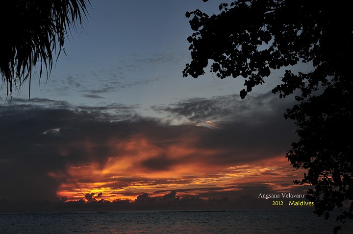 DSC_2786 DSC_2786