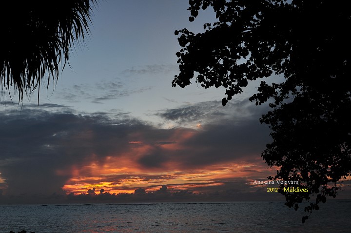 DSC_2784 DSC_2784