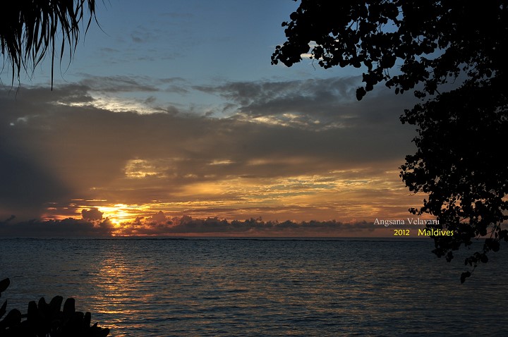 DSC_2800 DSC_2800