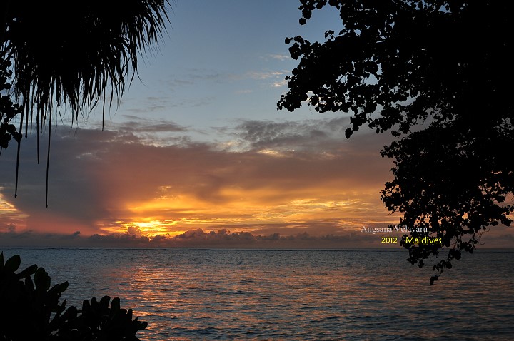 DSC_2793 DSC_2793