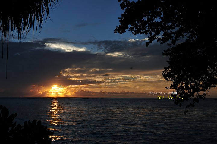 DSC_2811 DSC_2811