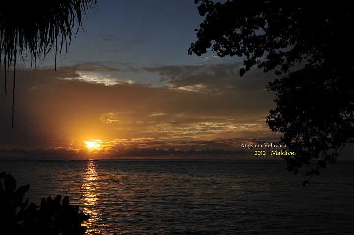 DSC_2804 DSC_2804