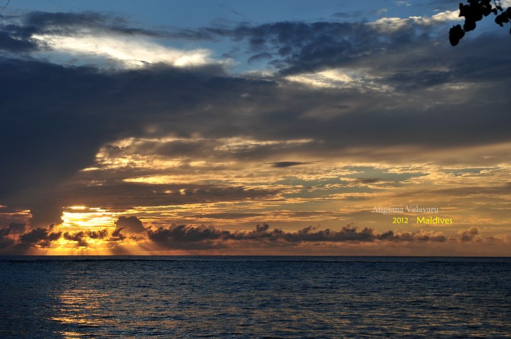 DSC_2815 DSC_2815