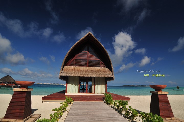 DSC_2890 DSC_2890