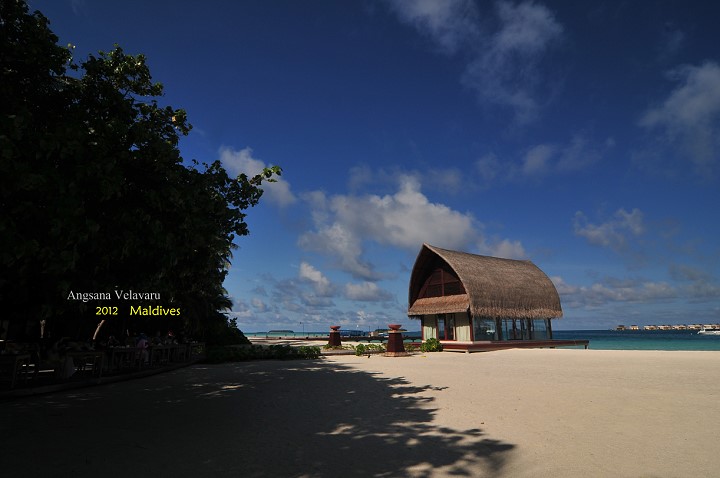 DSC_2888 DSC_2888