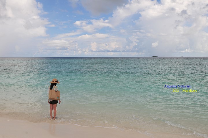 DSC_2940 DSC_2940