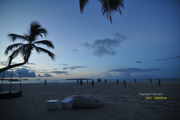 DSC_2960 DSC_2960