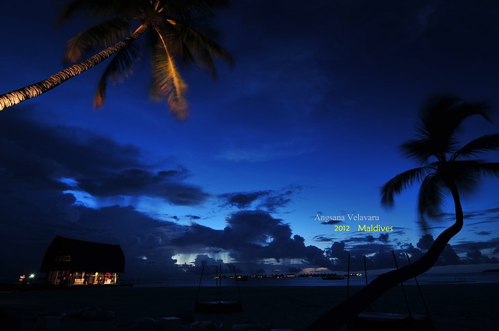 DSC_2973 DSC_2973