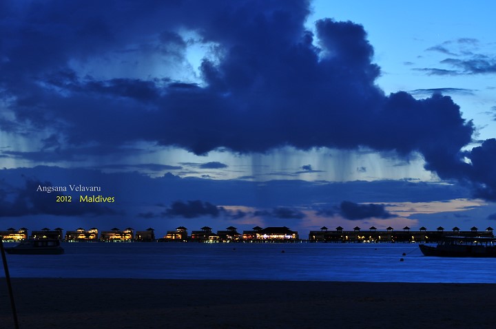 DSC_2976 DSC_2976