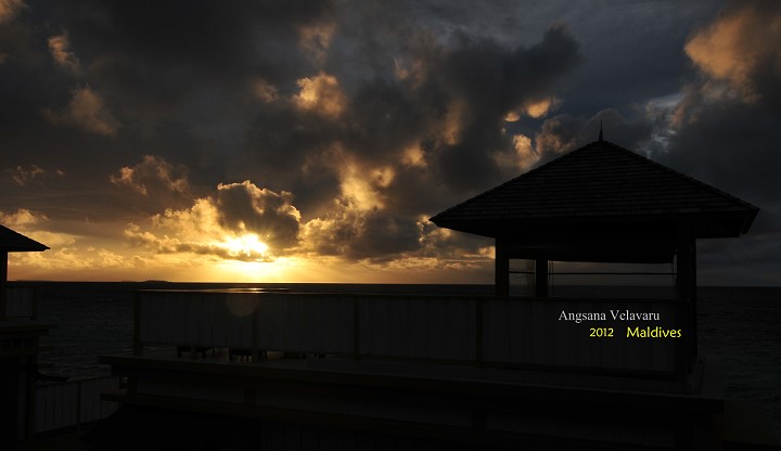 DSC_3295 DSC_3295