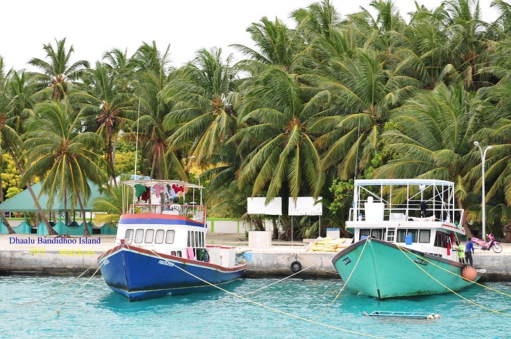 DSC_3363 DSC_3363