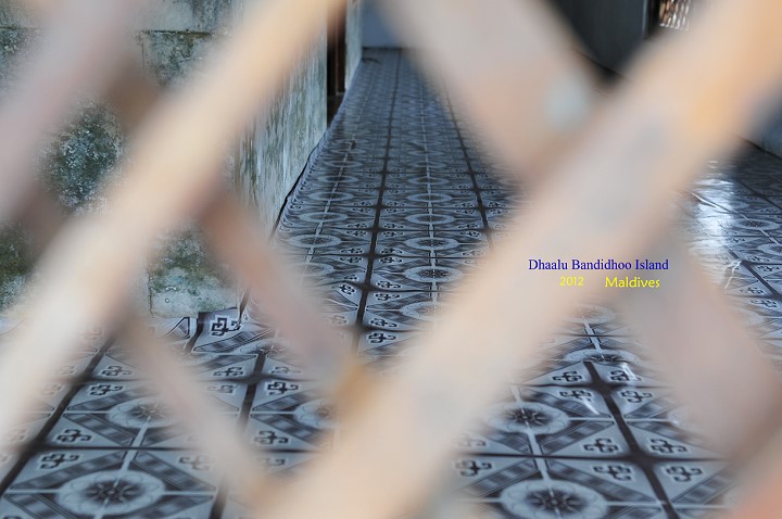 DSC_3395 DSC_3395