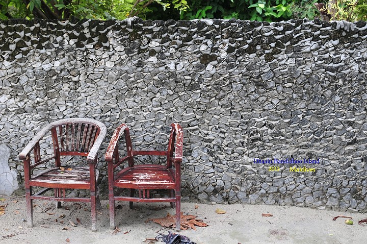 DSC_3412 DSC_3412