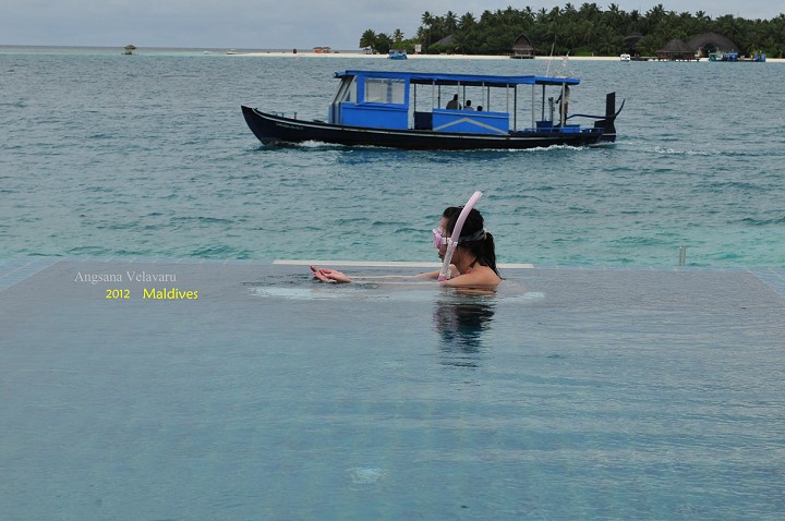 DSC_3499 DSC_3499