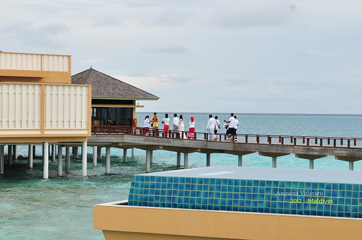 DSC_3532 DSC_3532
