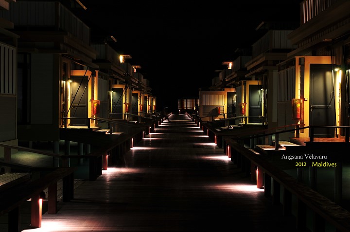 DSC_3571 DSC_3571