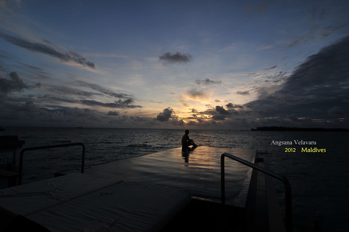 DSC_3590 DSC_3590
