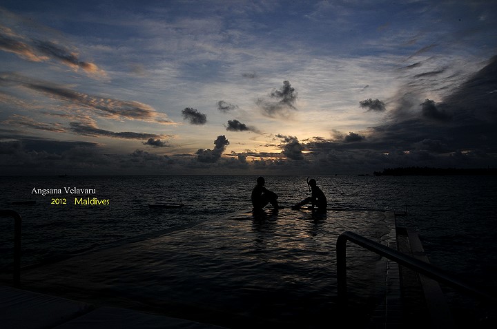DSC_3602 DSC_3602