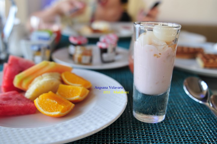 DSC_3655 DSC_3655