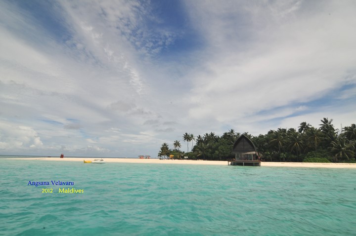 DSC_3854 DSC_3854