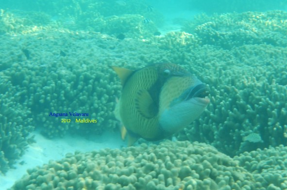 DSCN2528 DSCN2528