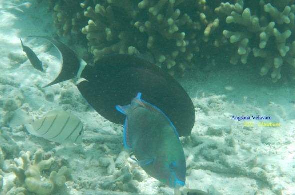 DSCN2583 DSCN2583