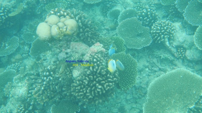 DSCN2751 DSCN2751