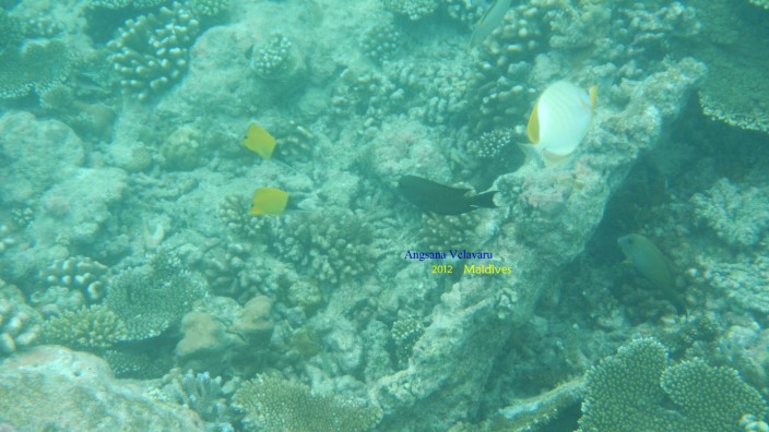 DSCN2791 DSCN2791