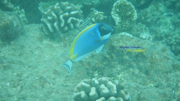 DSCN2770 DSCN2770