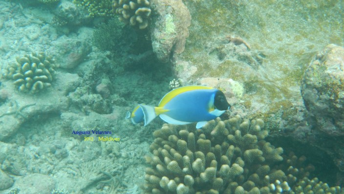 DSCN2816 DSCN2816