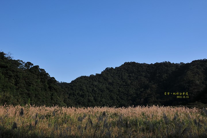 DSC_4992 DSC_4992