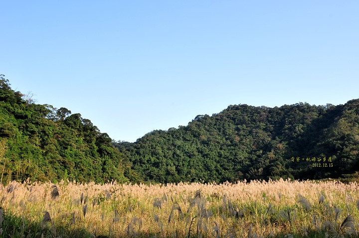 DSC_5001 DSC_5001