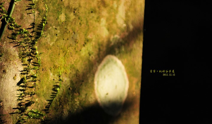 DSC_5021 DSC_5021