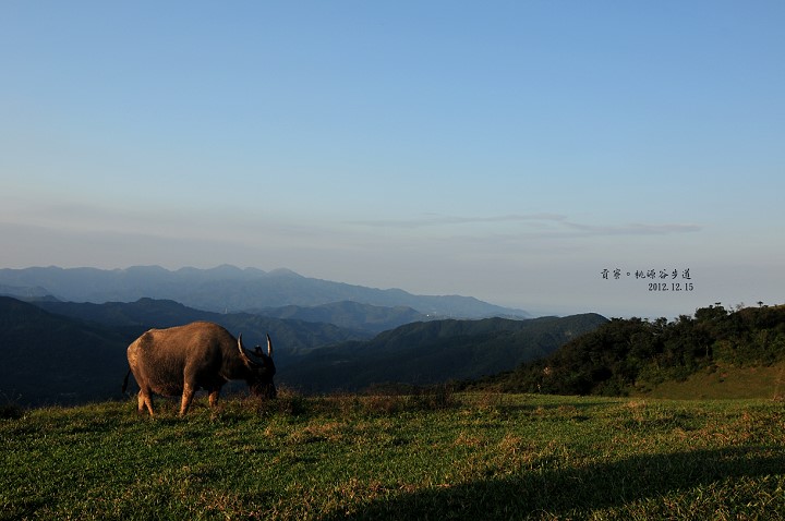 DSC_5080 DSC_5080