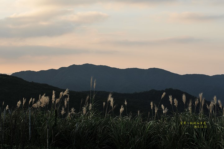 DSC_5145 DSC_5145