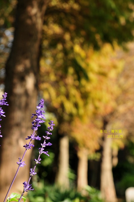 DSC_5280 DSC_5280