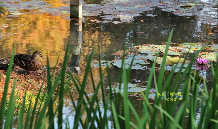 DSC_5309 DSC_5309