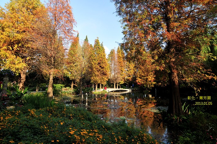 DSC_5334 DSC_5334