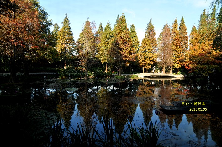 DSC_5373 DSC_5373