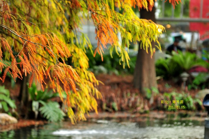 DSC_5412 DSC_5412