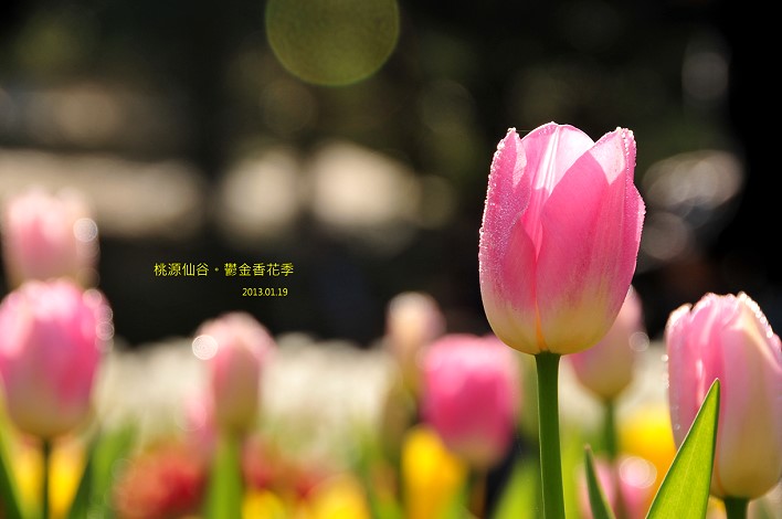 DSC_5512 DSC_5512