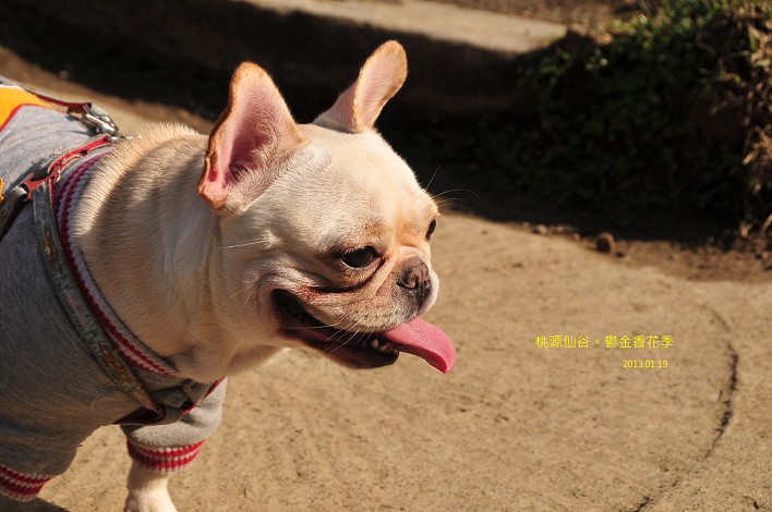 DSC_5557 DSC_5557